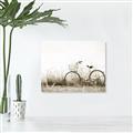 Picture of Leaning Bike  _GroupedProduct_Rectangle_Landscape_Photography _GroupedProduct_Rectangle_Landscape_Unframed_Print_Only_