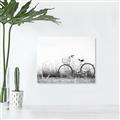 Picture of Leaning Bike  _GroupedProduct_Rectangle_Landscape_Photography _GroupedProduct_Rectangle_Landscape_Unframed_Print_Only_