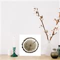 Picture of Log Slice I _GroupedProduct_Square_Photography _GroupedProduct_Square_Unframed_Print_Only_