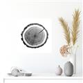 Picture of Log Slice I _GroupedProduct_Square_Photography _GroupedProduct_Square_Unframed_Print_Only_