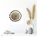 Picture of Log Slice I _GroupedProduct_Square_Photography _GroupedProduct_Square_Unframed_Print_Only_