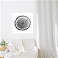 Picture of Log Slice I _GroupedProduct_Square_Photography _GroupedProduct_Square_Unframed_Print_Only_