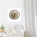 Picture of Log Slice I _GroupedProduct_Square_Photography _GroupedProduct_Square_Unframed_Print_Only_