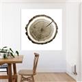 Picture of Log Slice I _GroupedProduct_Square_Photography _GroupedProduct_Square_Unframed_Print_Only_