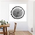 Picture of Log Slice I _GroupedProduct_Square_Photography _GroupedProduct_Square_Unframed_Print_Only_