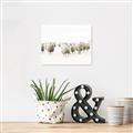 Picture of Sheep Party _GroupedProduct_Rectangle_Landscape_Photography _GroupedProduct_Rectangle_Landscape_Unframed_Print_Only_