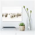 Picture of Sheep Party _GroupedProduct_Rectangle_Landscape_Photography _GroupedProduct_Rectangle_Landscape_Unframed_Print_Only_
