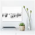Picture of Sheep Party _GroupedProduct_Rectangle_Landscape_Photography _GroupedProduct_Rectangle_Landscape_Unframed_Print_Only_
