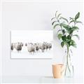 Picture of Sheep Party _GroupedProduct_Rectangle_Landscape_Photography _GroupedProduct_Rectangle_Landscape_Unframed_Print_Only_