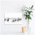 Picture of Sheep Party _GroupedProduct_Rectangle_Landscape_Photography _GroupedProduct_Rectangle_Landscape_Unframed_Print_Only_