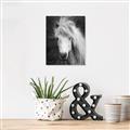 Picture of Stallion _GroupedProduct_Rectangle_Portrait_Photography _GroupedProduct_Rectangle_Portrait_Unframed_Print_Only_