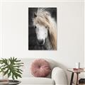 Picture of Stallion _GroupedProduct_Rectangle_Portrait_Photography _GroupedProduct_Rectangle_Portrait_Unframed_Print_Only_