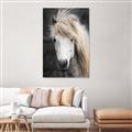 Picture of Stallion _GroupedProduct_Rectangle_Portrait_Photography _GroupedProduct_Rectangle_Portrait_Unframed_Print_Only_
