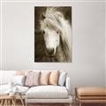 Picture of Stallion _GroupedProduct_Rectangle_Portrait_Photography _GroupedProduct_Rectangle_Portrait_Unframed_Print_Only_
