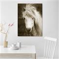 Picture of Stallion _GroupedProduct_Rectangle_Portrait_Photography _GroupedProduct_Rectangle_Portrait_Unframed_Print_Only_