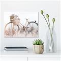 Picture of Field Bike _GroupedProduct_Rectangle_Landscape_Photography _GroupedProduct_Rectangle_Landscape_Unframed_Print_Only_