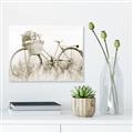Picture of Field Bike _GroupedProduct_Rectangle_Landscape_Photography _GroupedProduct_Rectangle_Landscape_Unframed_Print_Only_