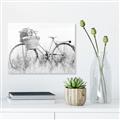 Picture of Field Bike _GroupedProduct_Rectangle_Landscape_Photography _GroupedProduct_Rectangle_Landscape_Unframed_Print_Only_