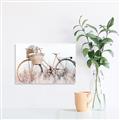 Picture of Field Bike _GroupedProduct_Rectangle_Landscape_Photography _GroupedProduct_Rectangle_Landscape_Unframed_Print_Only_