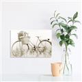 Picture of Field Bike _GroupedProduct_Rectangle_Landscape_Photography _GroupedProduct_Rectangle_Landscape_Unframed_Print_Only_