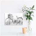 Picture of Field Bike _GroupedProduct_Rectangle_Landscape_Photography _GroupedProduct_Rectangle_Landscape_Unframed_Print_Only_