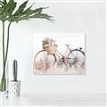 Picture of Field Bike _GroupedProduct_Rectangle_Landscape_Photography _GroupedProduct_Rectangle_Landscape_Unframed_Print_Only_