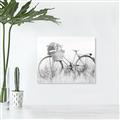 Picture of Field Bike _GroupedProduct_Rectangle_Landscape_Photography _GroupedProduct_Rectangle_Landscape_Unframed_Print_Only_