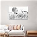 Picture of Field Bike _GroupedProduct_Rectangle_Landscape_Photography _GroupedProduct_Rectangle_Landscape_Unframed_Print_Only_