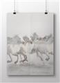 Picture of Horses Running in Water _GroupedProduct_Rectangle_Landscape_Photography _GroupedProduct_Rectangle_Landscape_Unframed_Print_Only_