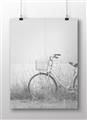 Picture of Leaning Bike  _GroupedProduct_Rectangle_Landscape_Photography _GroupedProduct_Rectangle_Landscape_Unframed_Print_Only_