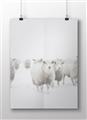 Picture of Sheep Party _GroupedProduct_Rectangle_Landscape_Photography _GroupedProduct_Rectangle_Landscape_Unframed_Print_Only_