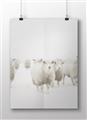 Picture of Sheep Party _GroupedProduct_Rectangle_Landscape_Photography _GroupedProduct_Rectangle_Landscape_Unframed_Print_Only_