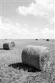 Picture of Hay Bail _GroupedProduct_Rectangle_Portrait_Photography _GroupedProduct_Rectangle_Portrait_Unframed_Print_Only_