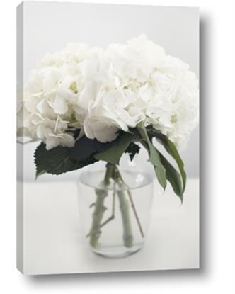 Picture of Hydrangea Bouquet