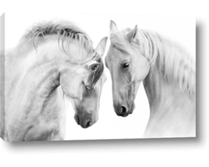 Picture of Face Off Horses