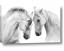 Picture of Face Off Horses