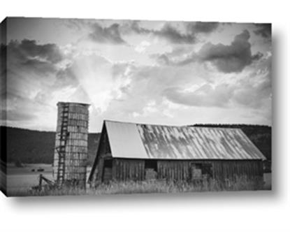Picture of On the Farm BW
