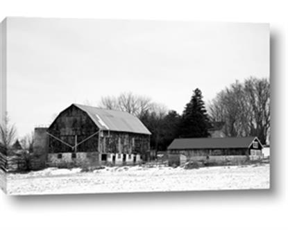 Picture of Farm Life