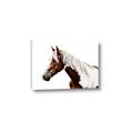 Picture of Spotted Horse _GroupedProduct_Rectangle_Landscape_Photography _GroupedProduct_Rectangle_Landscape_Canvas_