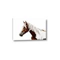 Picture of Spotted Horse _GroupedProduct_Rectangle_Landscape_Photography _GroupedProduct_Rectangle_Landscape_Canvas_
