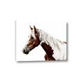 Picture of Spotted Horse _GroupedProduct_Rectangle_Landscape_Photography _GroupedProduct_Rectangle_Landscape_Canvas_