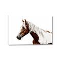 Picture of Spotted Horse _GroupedProduct_Rectangle_Landscape_Photography _GroupedProduct_Rectangle_Landscape_Canvas_