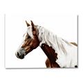 Picture of Spotted Horse _GroupedProduct_Rectangle_Landscape_Photography _GroupedProduct_Rectangle_Landscape_Canvas_