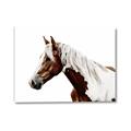 Picture of Spotted Horse _GroupedProduct_Rectangle_Landscape_Photography _GroupedProduct_Rectangle_Landscape_Canvas_
