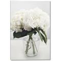 Picture of Hydrangea Bouquet _GroupedProduct_Rectangle_Portrait_Photography _GroupedProduct_Rectangle_Portrait_Canvas_