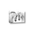 Picture of Face Off Horses _GroupedProduct_Rectangle_Landscape_Photography _GroupedProduct_Rectangle_Landscape_Canvas_