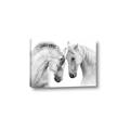 Picture of Face Off Horses _GroupedProduct_Rectangle_Landscape_Photography _GroupedProduct_Rectangle_Landscape_Canvas_