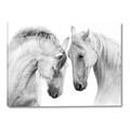 Picture of Face Off Horses _GroupedProduct_Rectangle_Landscape_Photography _GroupedProduct_Rectangle_Landscape_Canvas_
