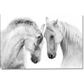 Picture of Face Off Horses _GroupedProduct_Rectangle_Landscape_Photography _GroupedProduct_Rectangle_Landscape_Canvas_