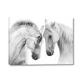 Picture of Face Off Horses _GroupedProduct_Rectangle_Landscape_Photography _GroupedProduct_Rectangle_Landscape_Canvas_